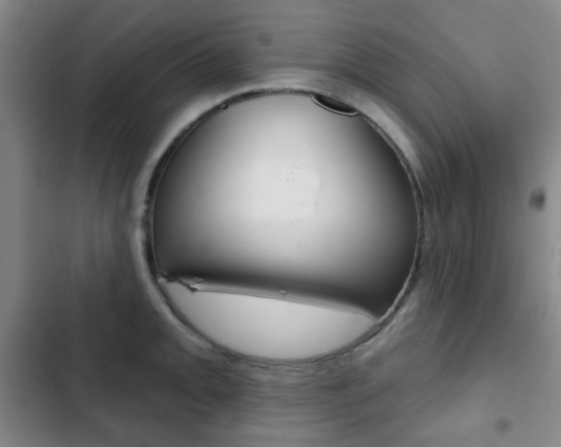 X0000103261093200808291037