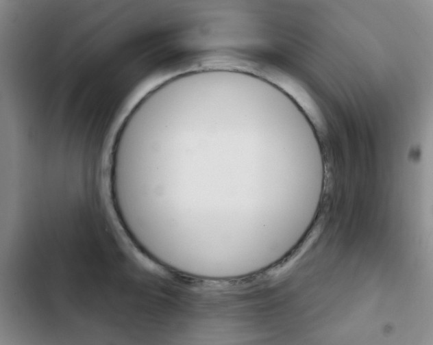 X0000103261094200808291037