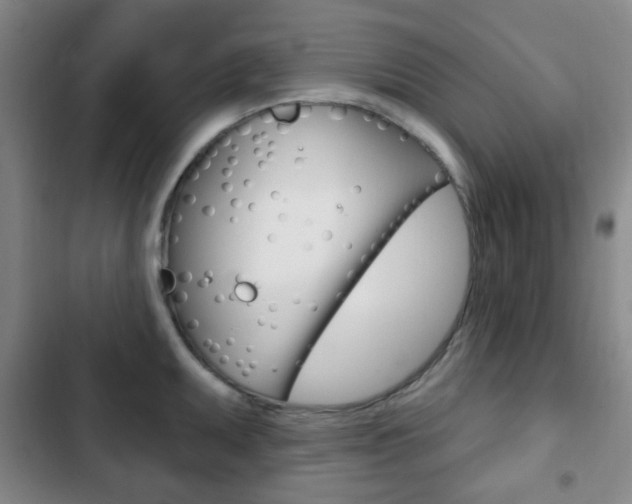 X0000103261095200808291037