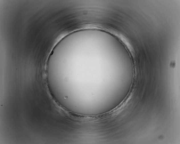 X0000103261097200808291037