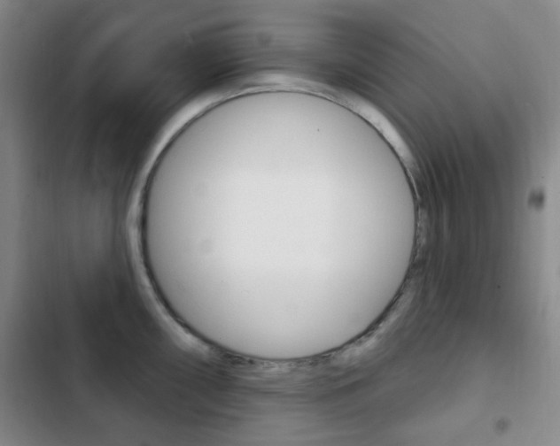 X0000103261098200808291037