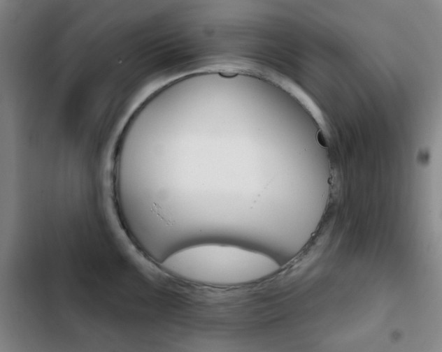 X0000103261099200808291037