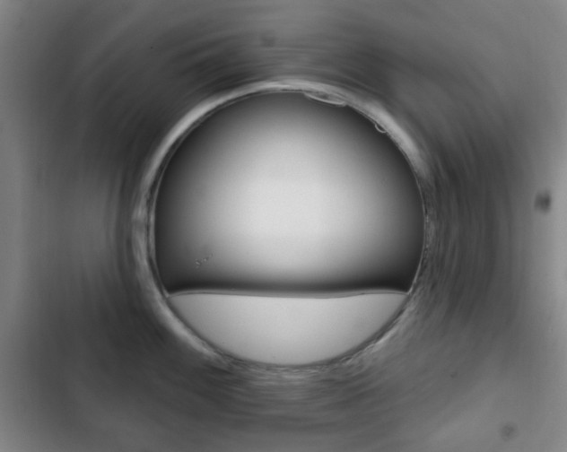 X0000103261100200808291037