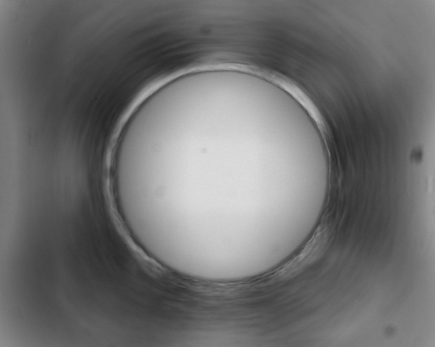 X0000103261101200808291037