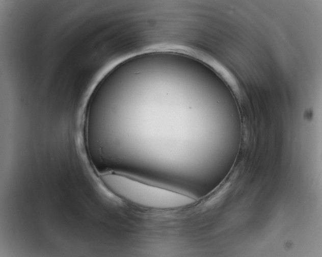 X0000103261102200808291037
