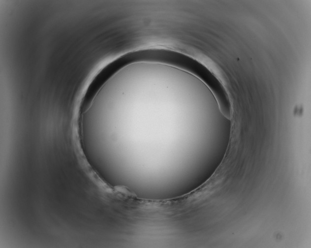 X0000103261104200808291037