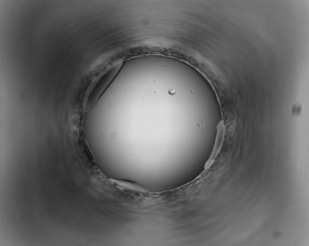 X0000103261110200808291036