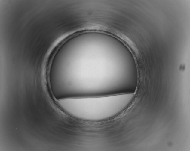 X0000103261120200808291036