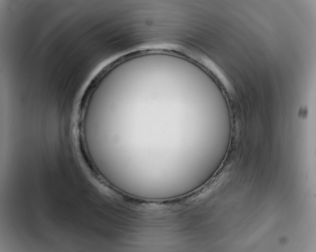 X0000103261124200808291036