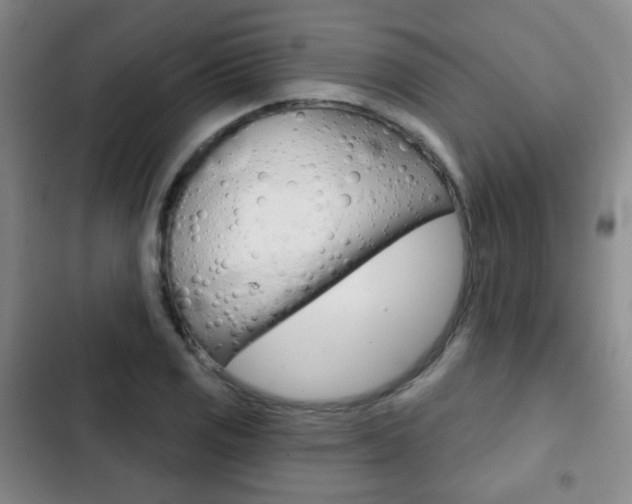X0000103261125200808291036