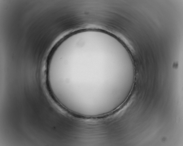 X0000103261126200808291036