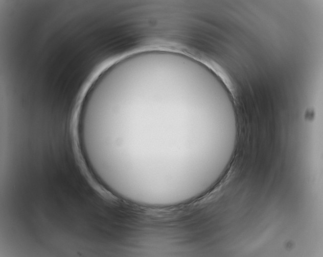 X0000103261128200808291036