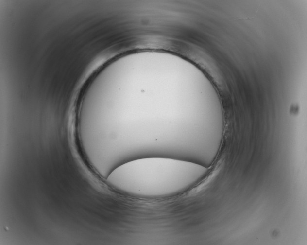 X0000103261130200808291036