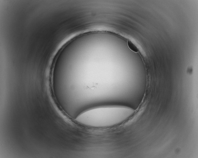 X0000103261134200808291036