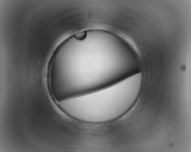 X0000103261135200808291036