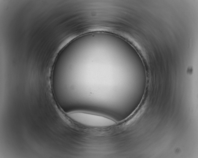 X0000103261137200808291036