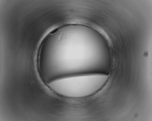 X0000103261138200808291037