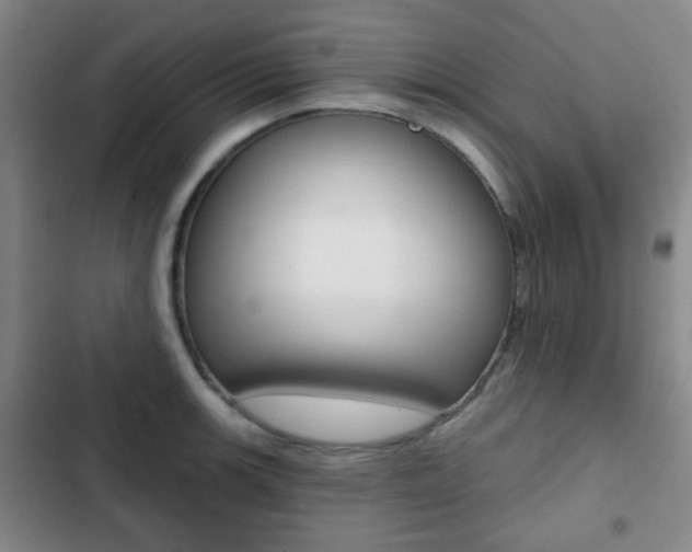 X0000103261139200808291037