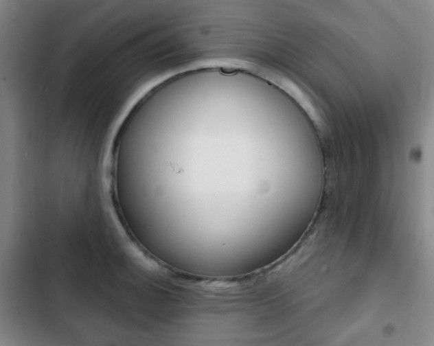 X0000103261140200808291037