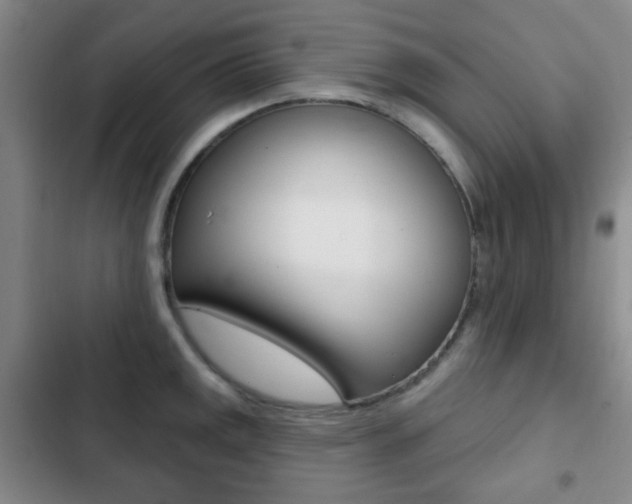 X0000103261141200808291037