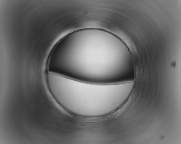 X0000103261142200808291037