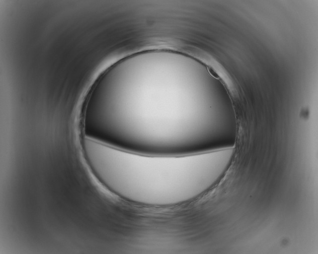 X0000103261143200808291037
