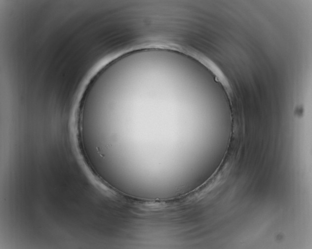 X0000103261144200808291037
