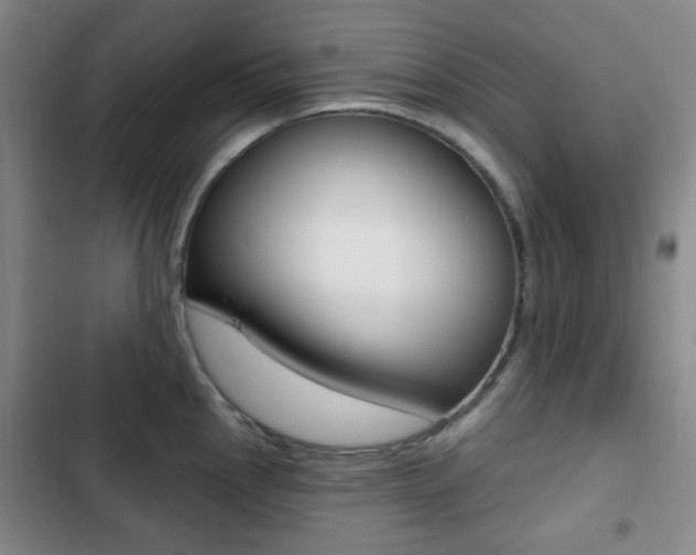 X0000103261145200808291037