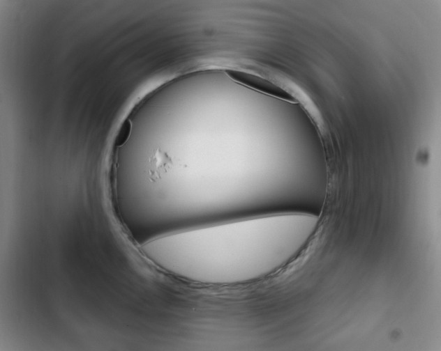 X0000103261146200808291037
