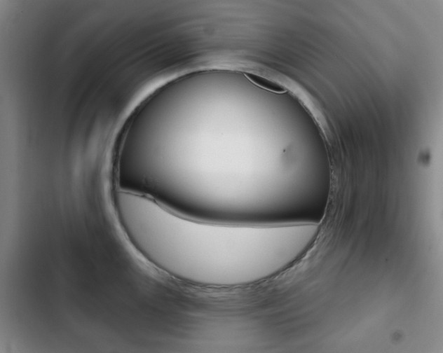 X0000103261147200808291037