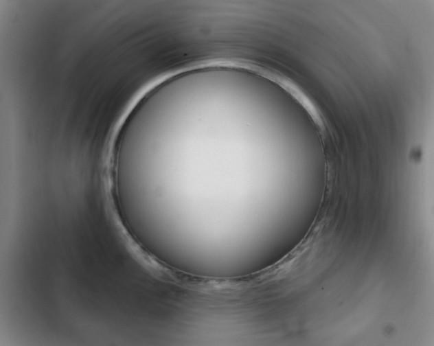 X0000103261148200808291037