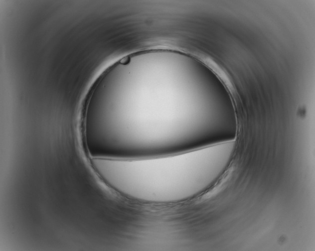 X0000103261149200808291037