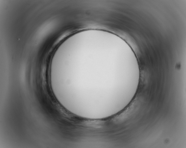 X0000103261150200808291037