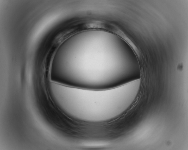 X0000103261151200808291037