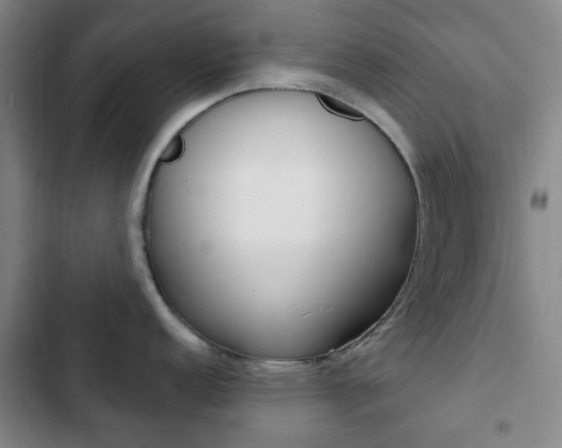 X0000103261152200808291037