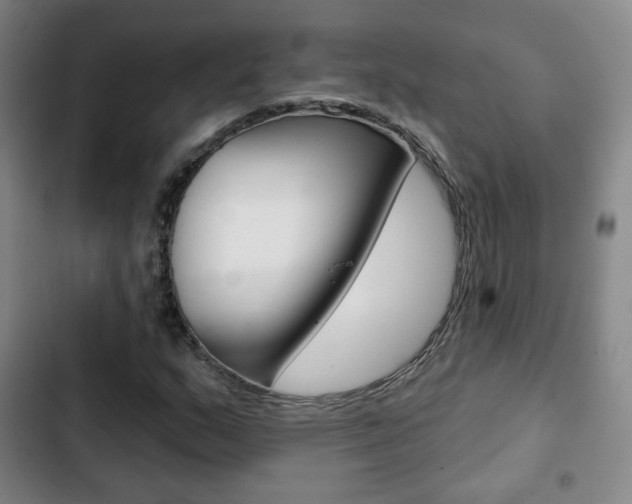 X0000103261159200808291036