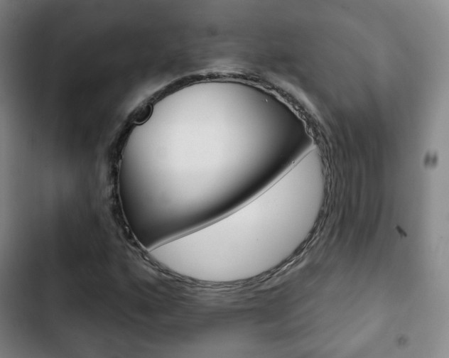 X0000103261160200808291036