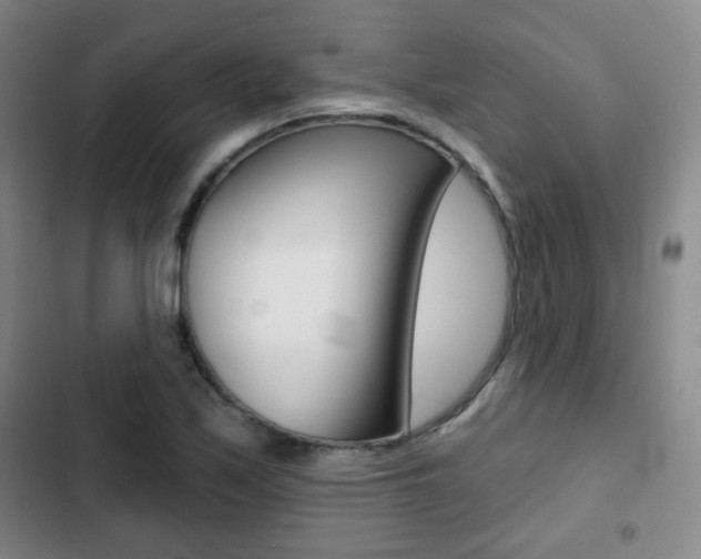 X0000103261171200808291036