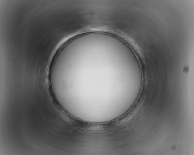 X0000103261174200808291036