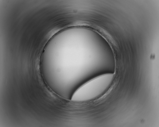X0000103261177200808291036