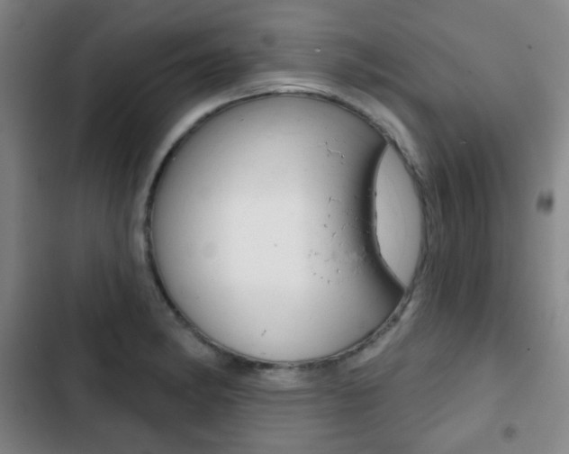 X0000103261182200808291035