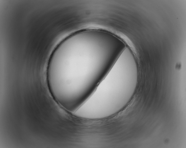 X0000103261183200808291035
