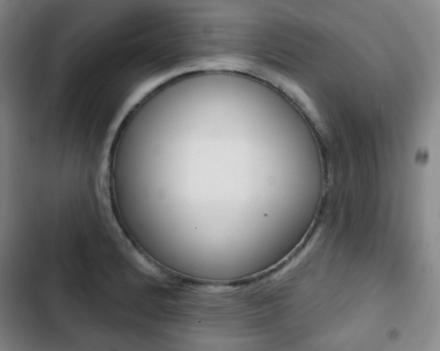 X0000103261184200808291035