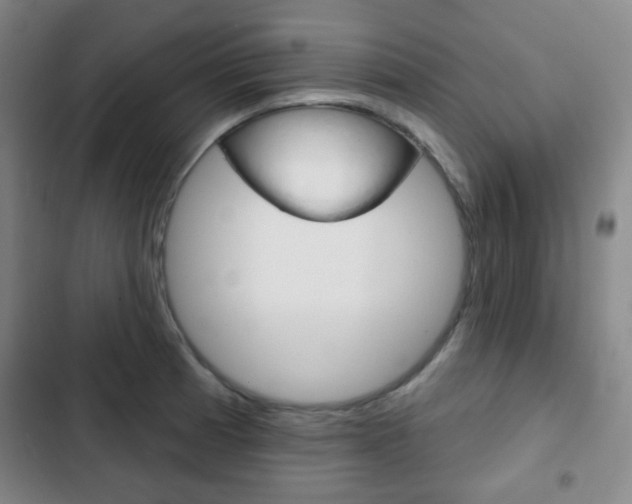 X0000103261185200808291035