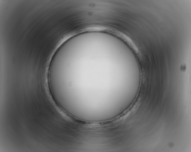 X0000103261186200808291035