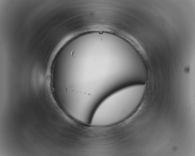 X0000103261188200808291035