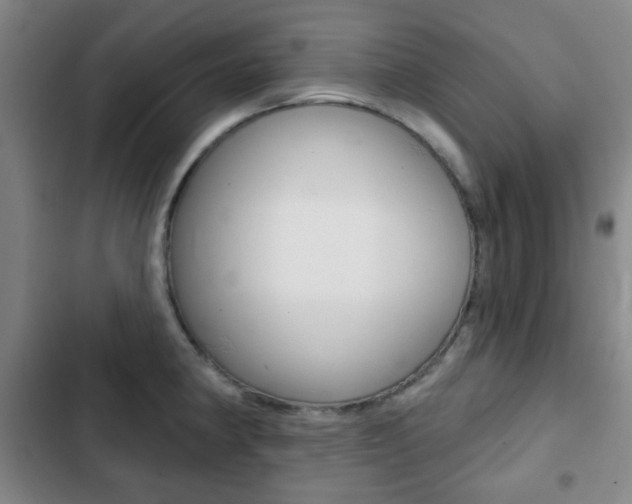 X0000103261190200808291035