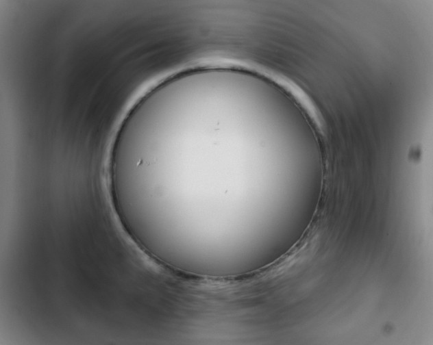 X0000103261191200808291035