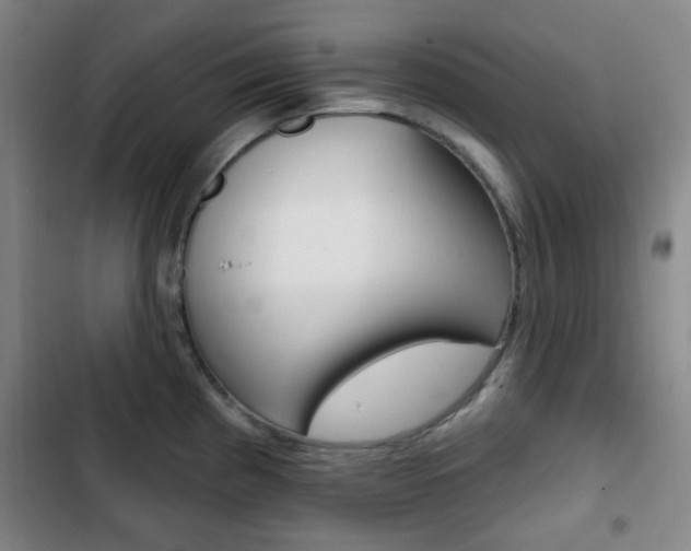 X0000103261193200808291035