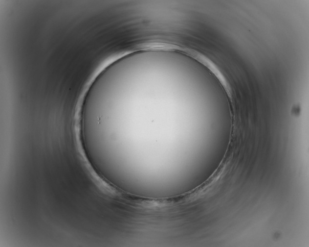 X0000103261195200808291035